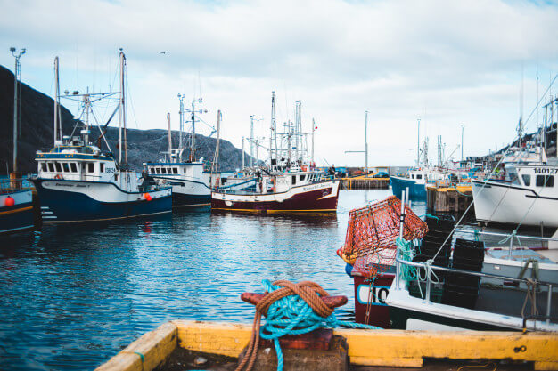 First State Agency/ watercraft insurance