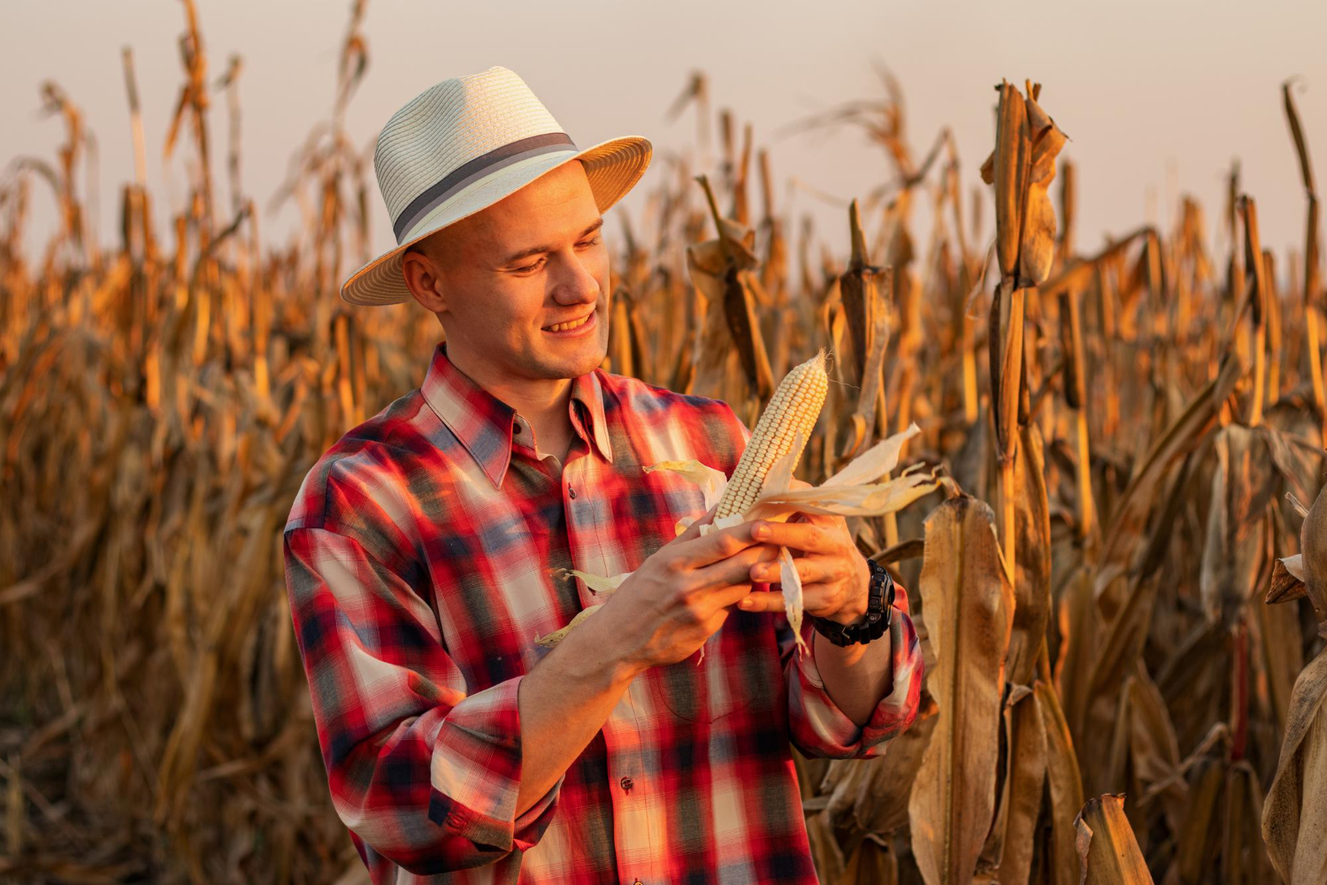First State Agency/ farm insurance